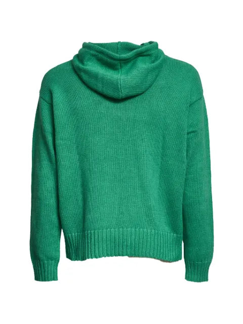 Polo Ralph Lauren intarsia knitted hoodie