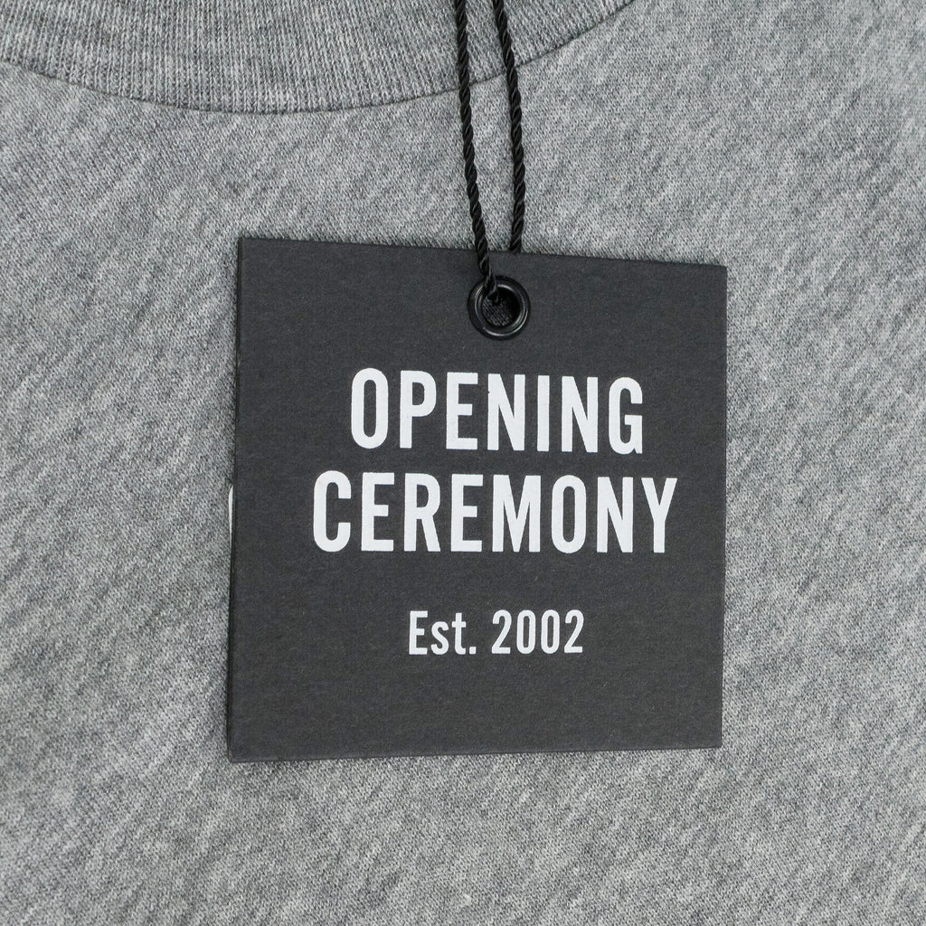 Grey Cozy Longsleeve T-Shirt
